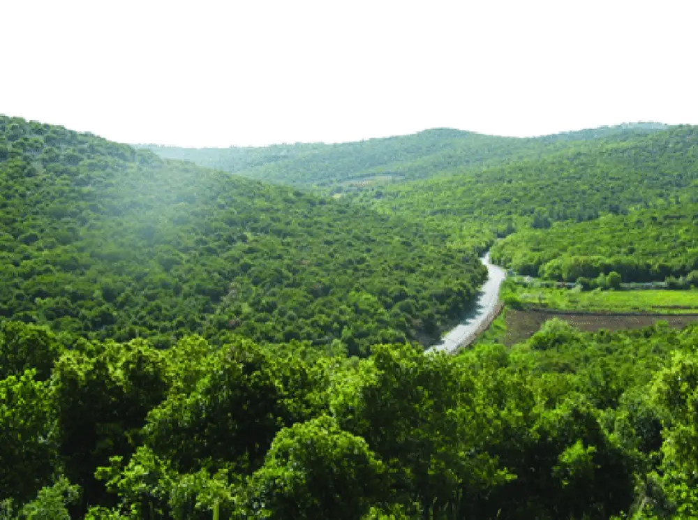 Ajloun National Reserve Trail