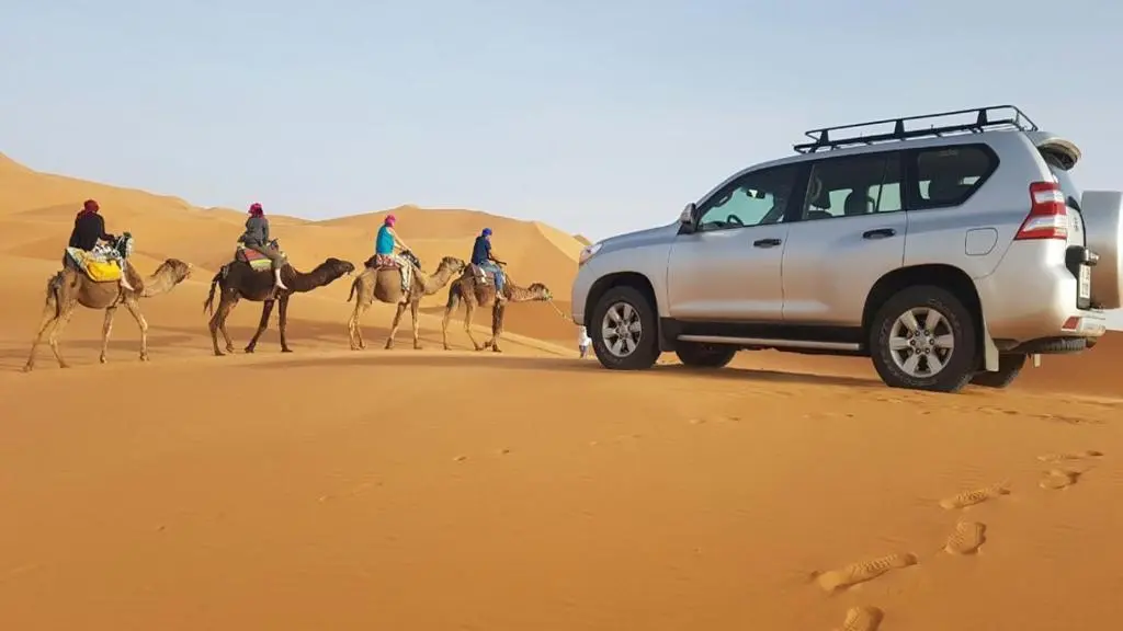 4X4 Jeep Safari