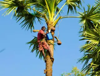 Toddy-Tasting experience at Thinnai Farms