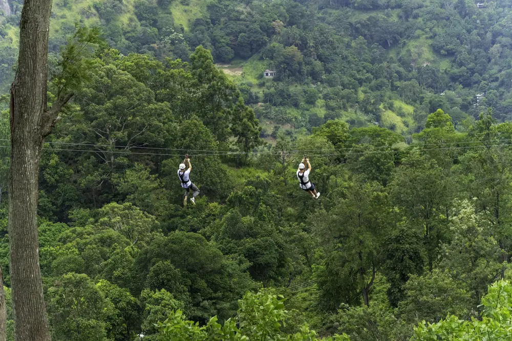 Ella Zip Line Excursion 