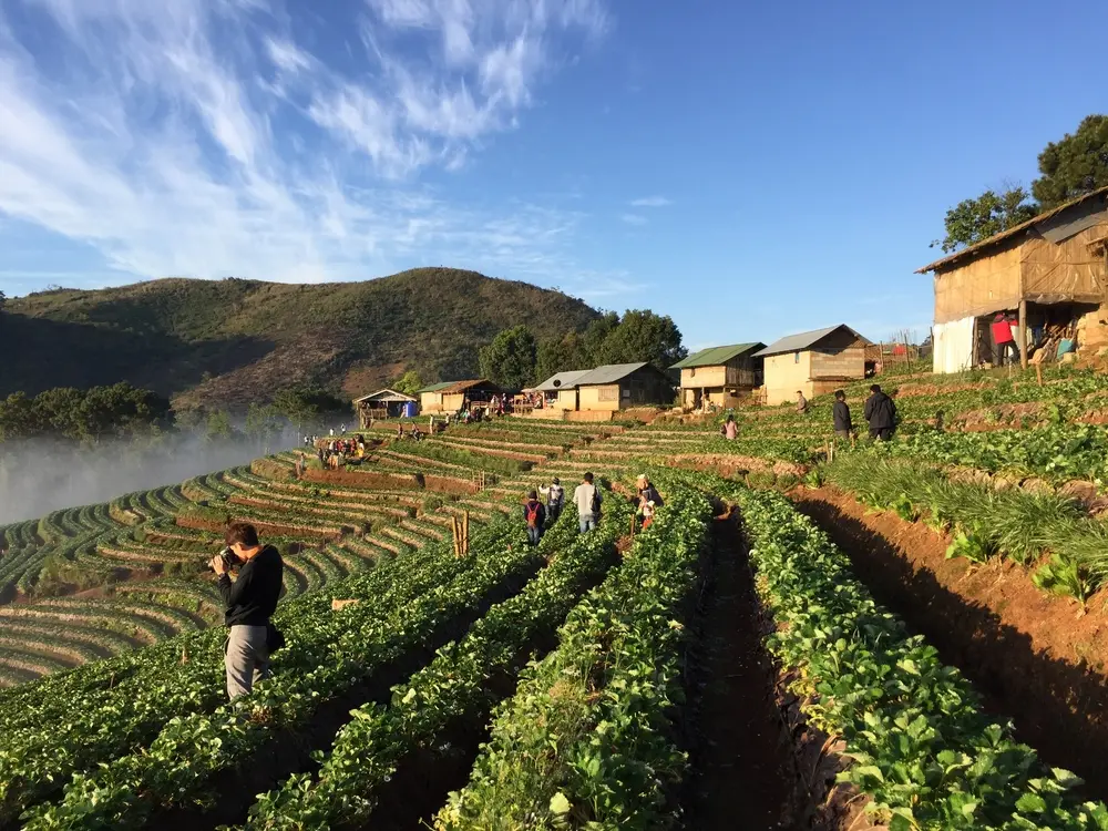 Thinnai Farm visit & Farm to table concept lunch 