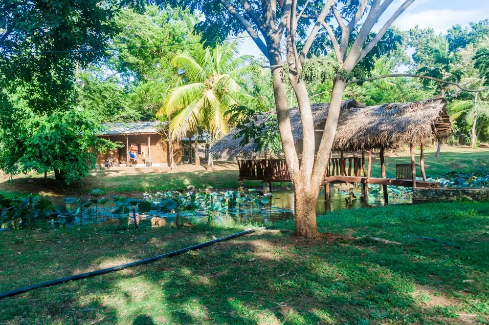 Udawalawe Village Walk 1
