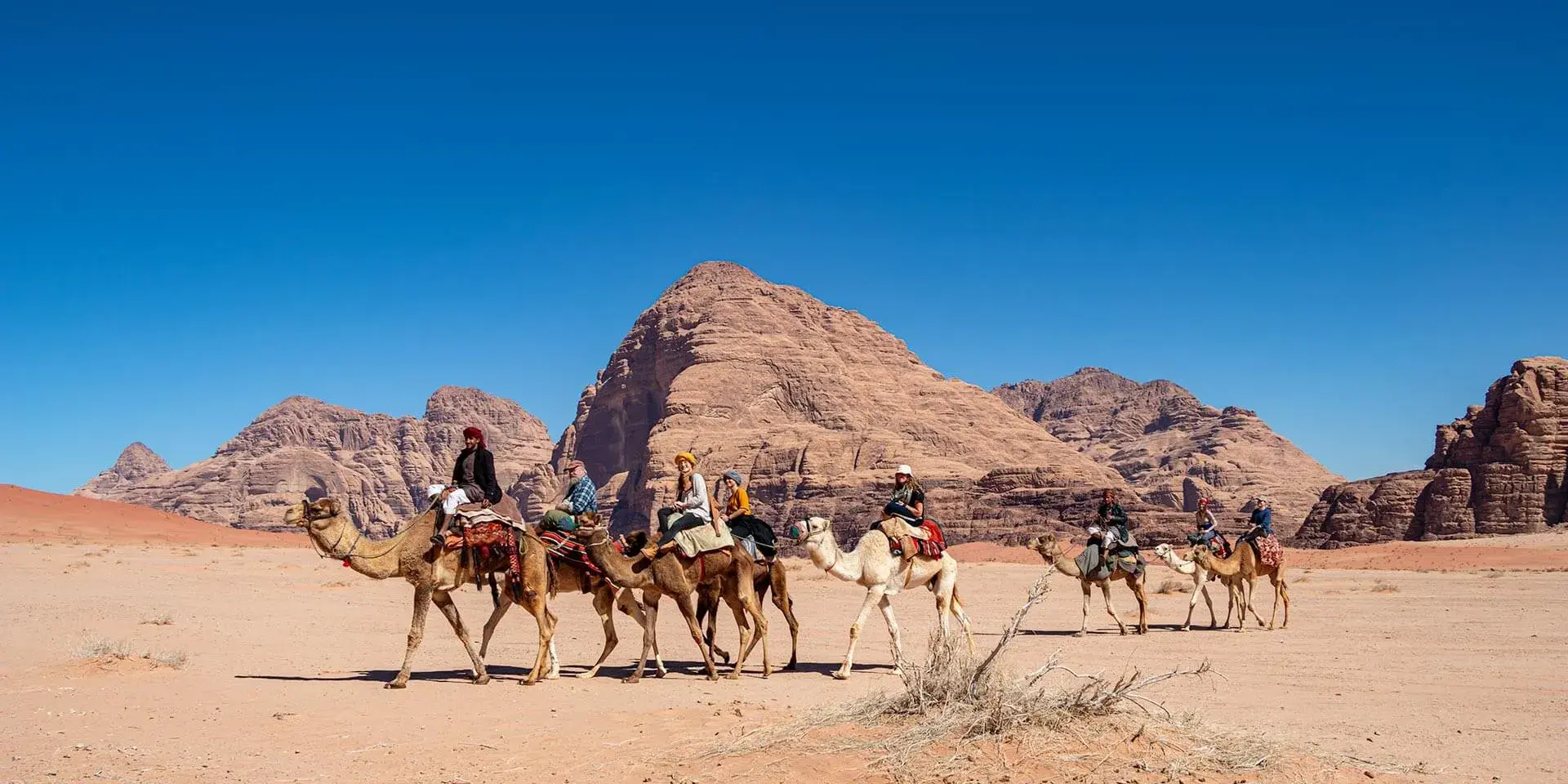 Camel Ride in Wadi Rum