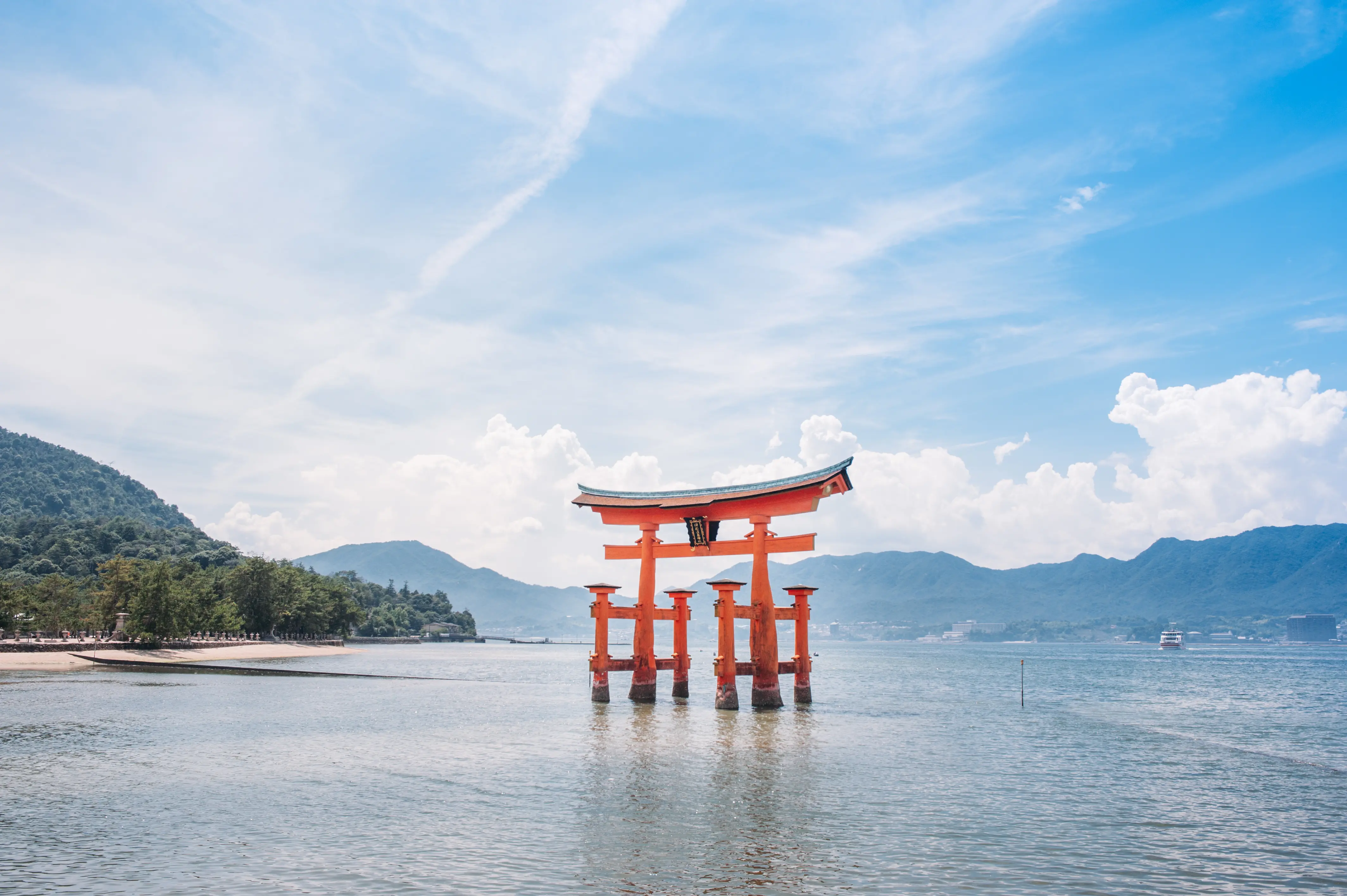 Japan Deals | Cherry Blossoms & Cultural Adventures | Travel Talk Tours