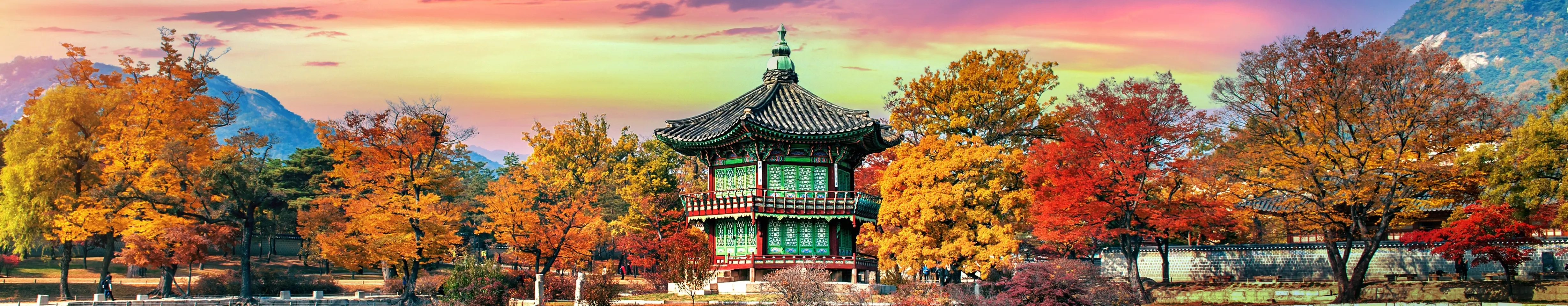 Travel Better in South Korea