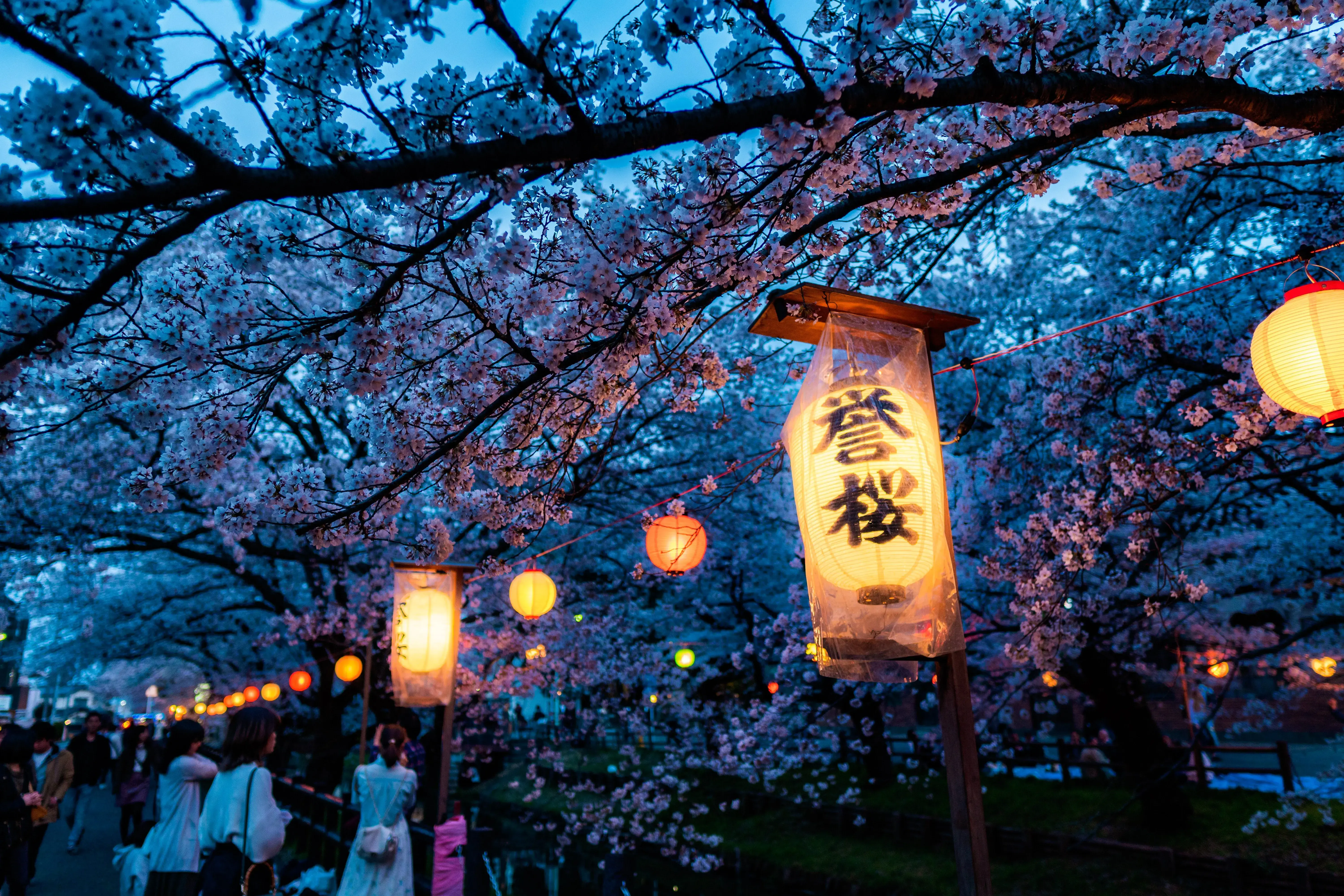 Japanese Culture