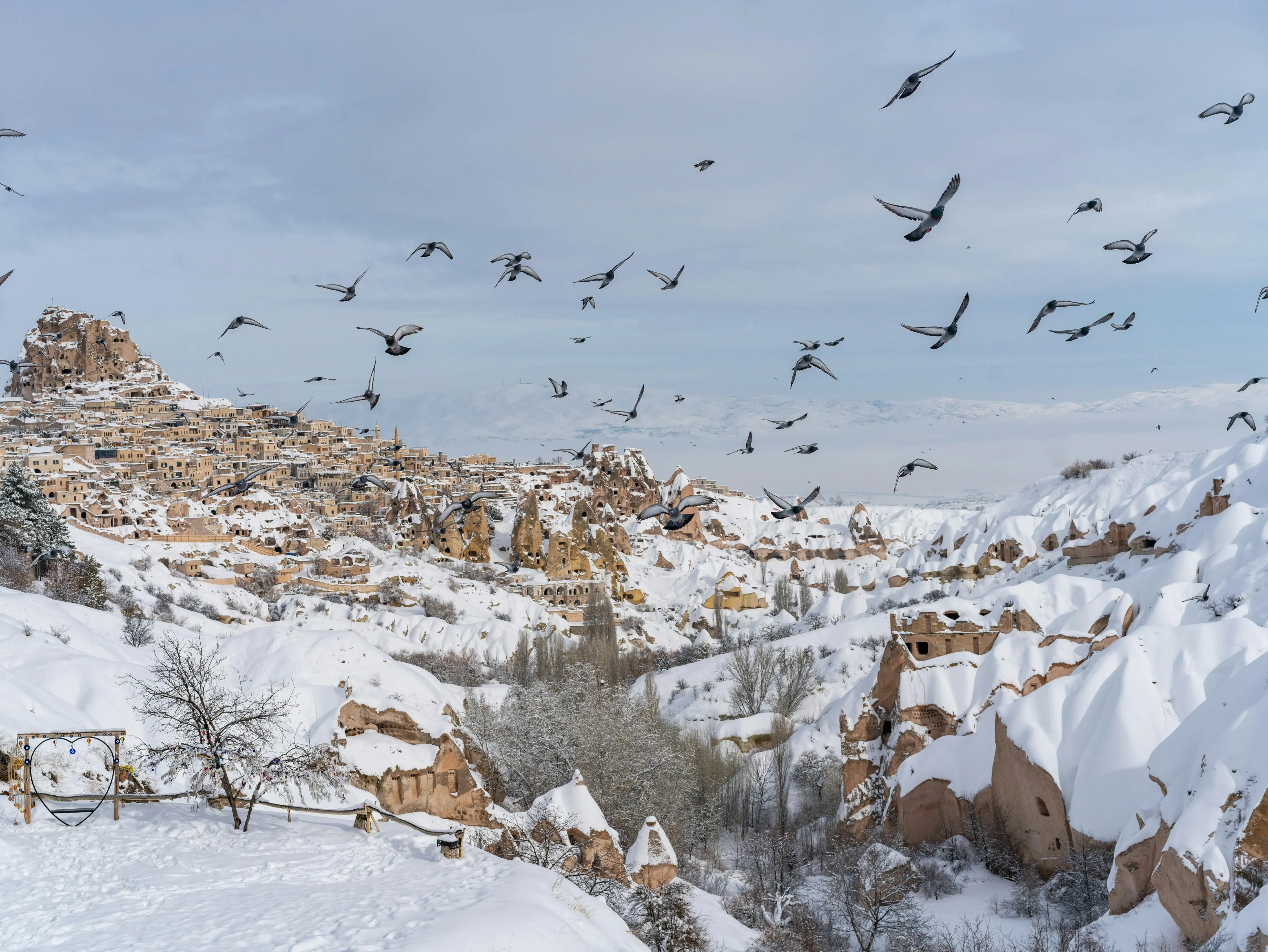 Pigeon Valley