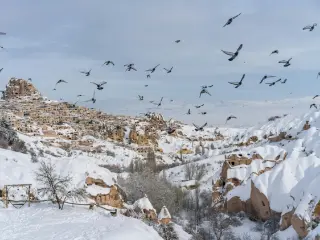 Pigeon Valley