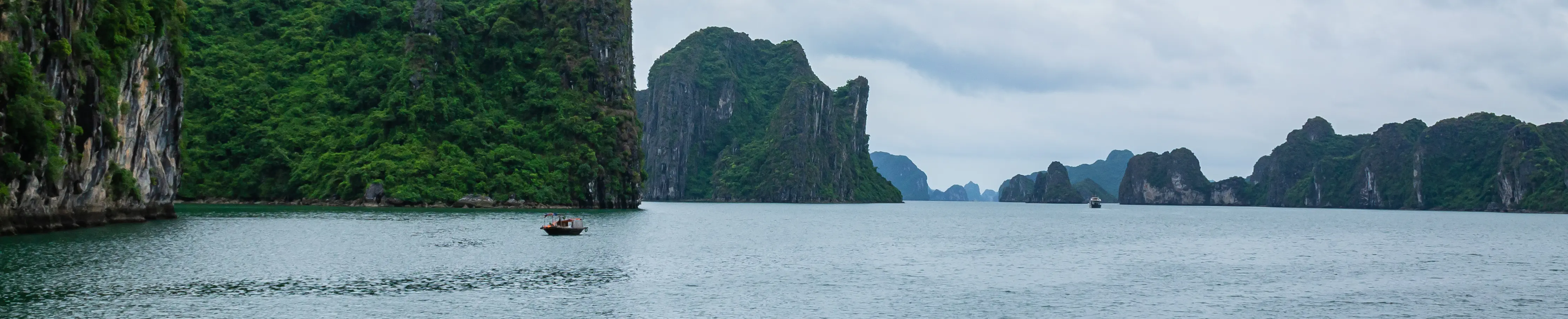 Dog Island