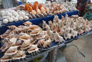 Jaffna Market