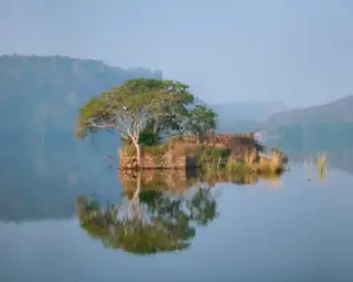 Ranthambore National Park