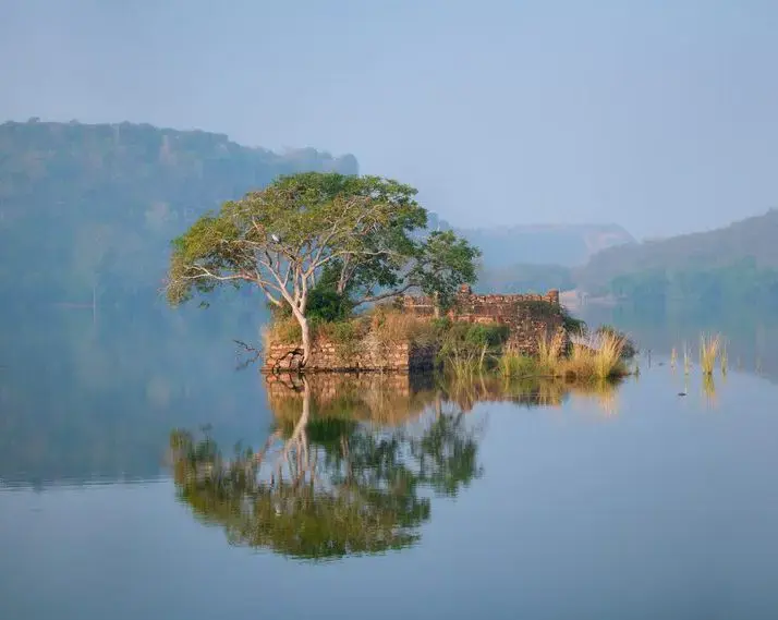 Ranthambore National Park