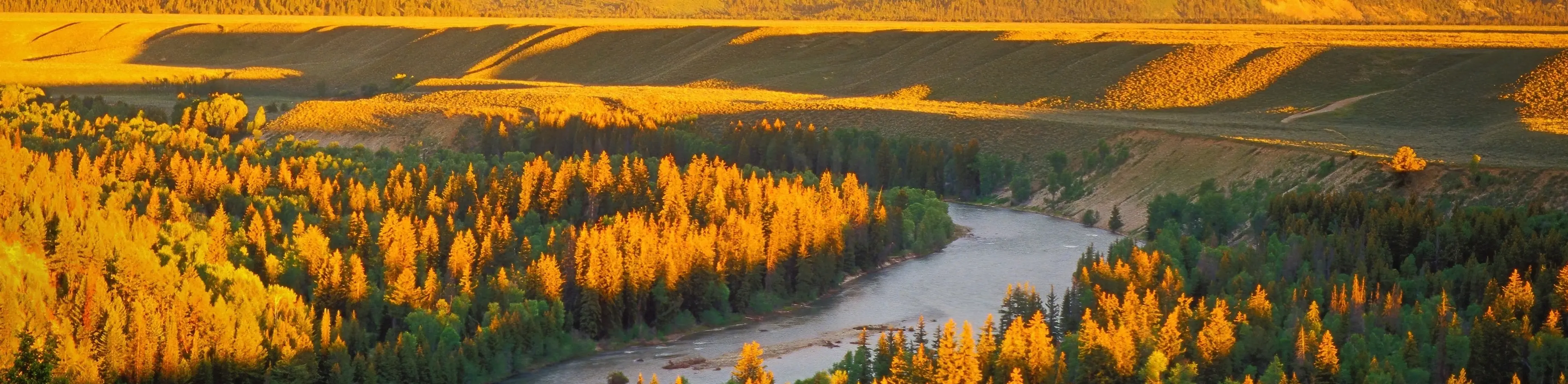Snake River Overlook