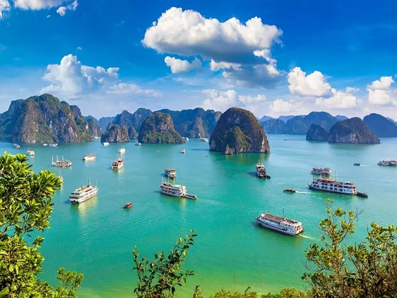 Authentic Encounter: Halong Bay Cruise on Traditional Junk Boat