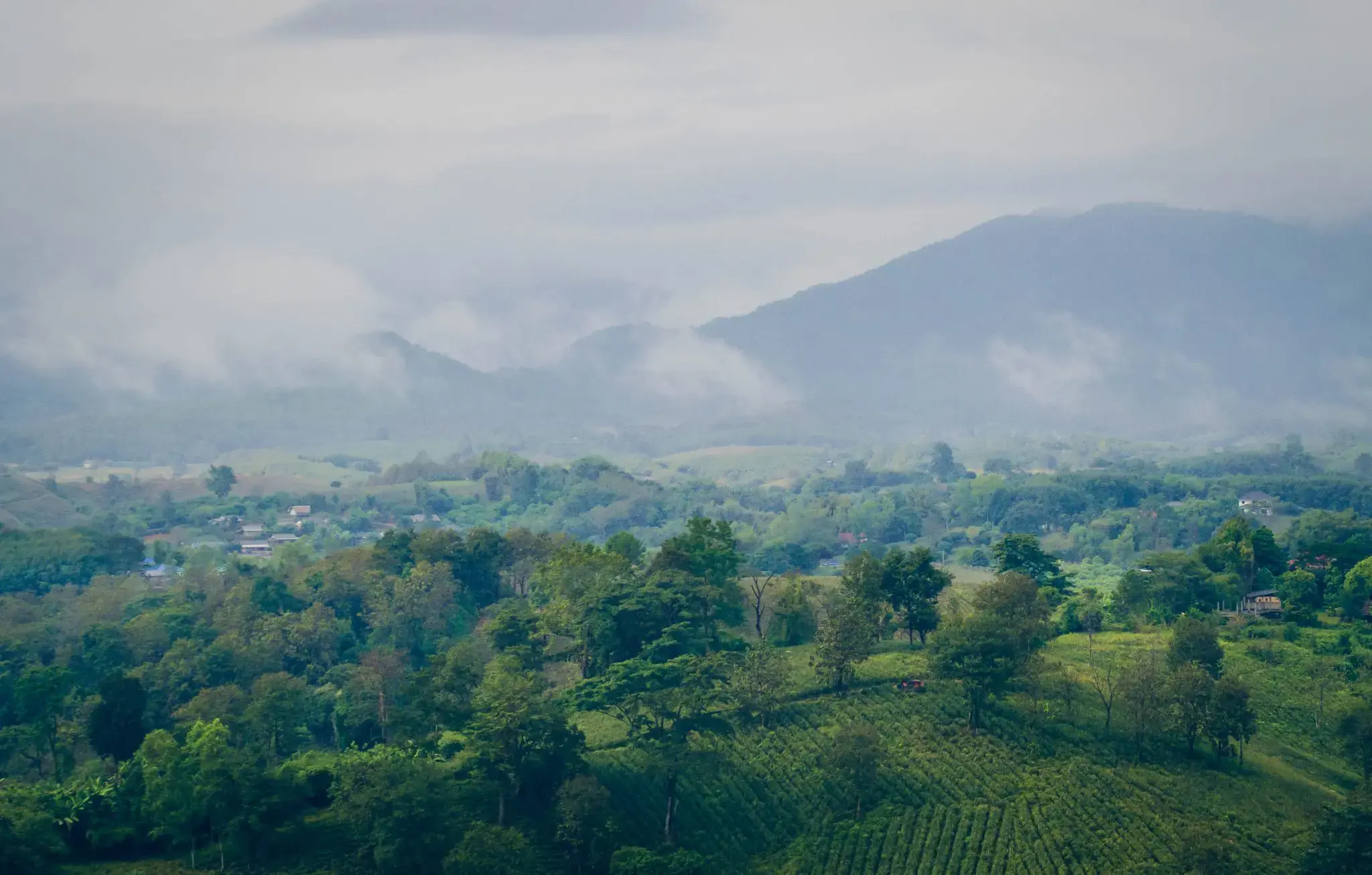 Authentic Encounter: Akha Hilltribe Village