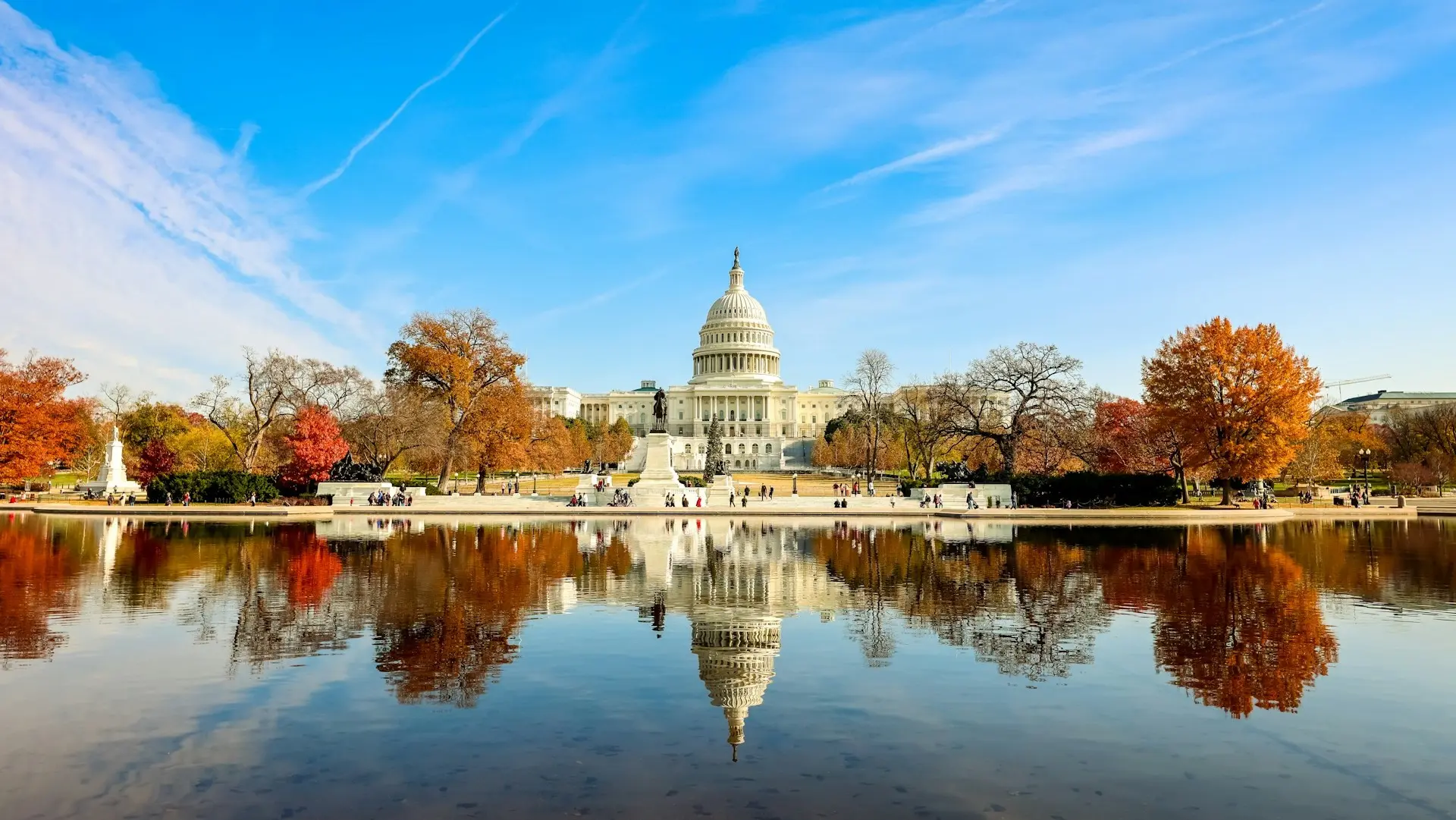 Washington D.C.