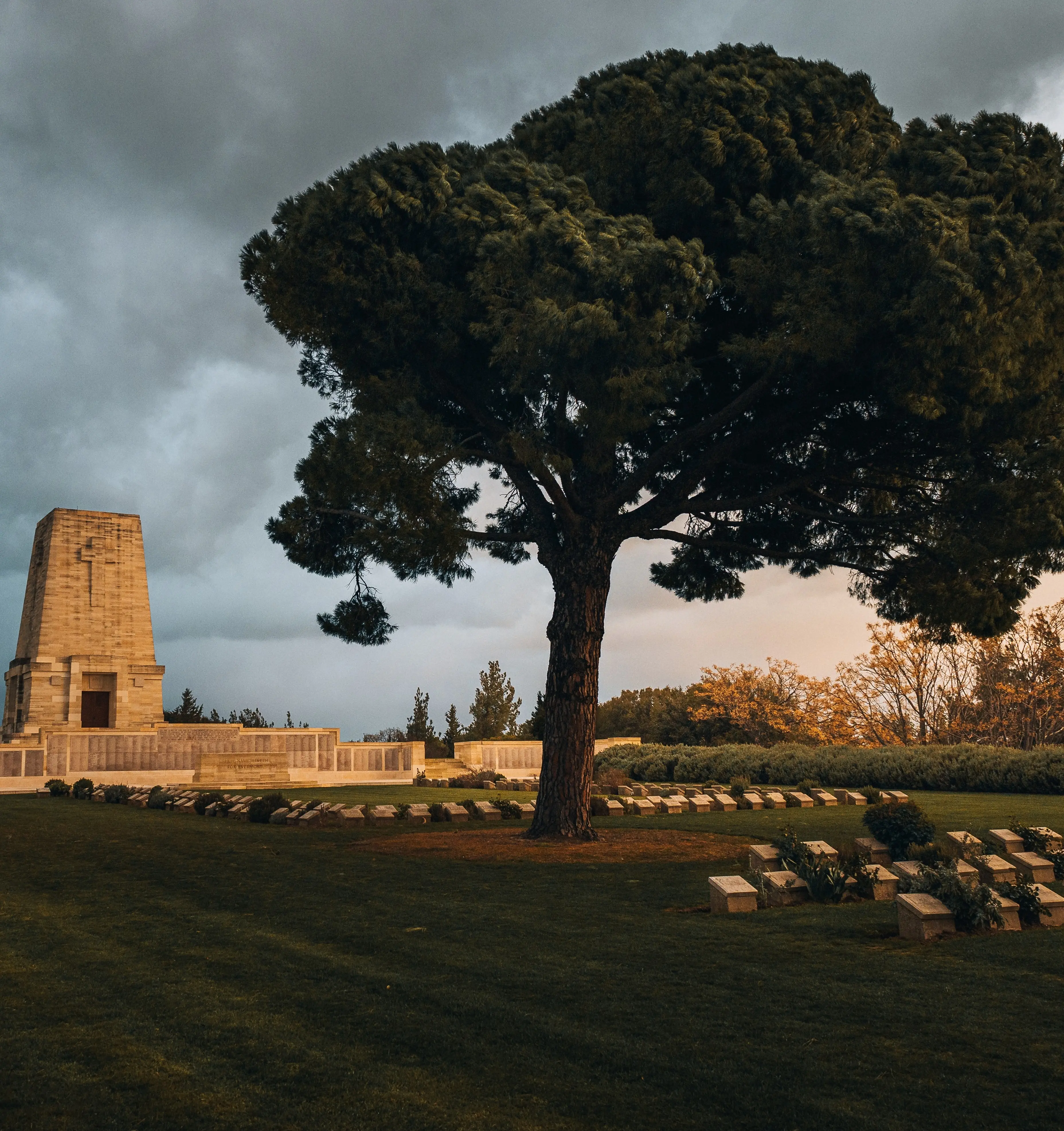 Lone Pine
