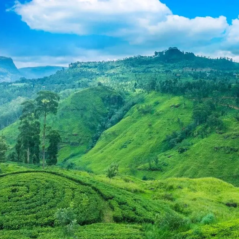 Horton Plains