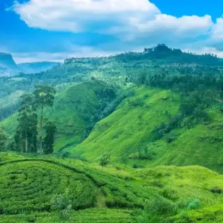 Horton Plains