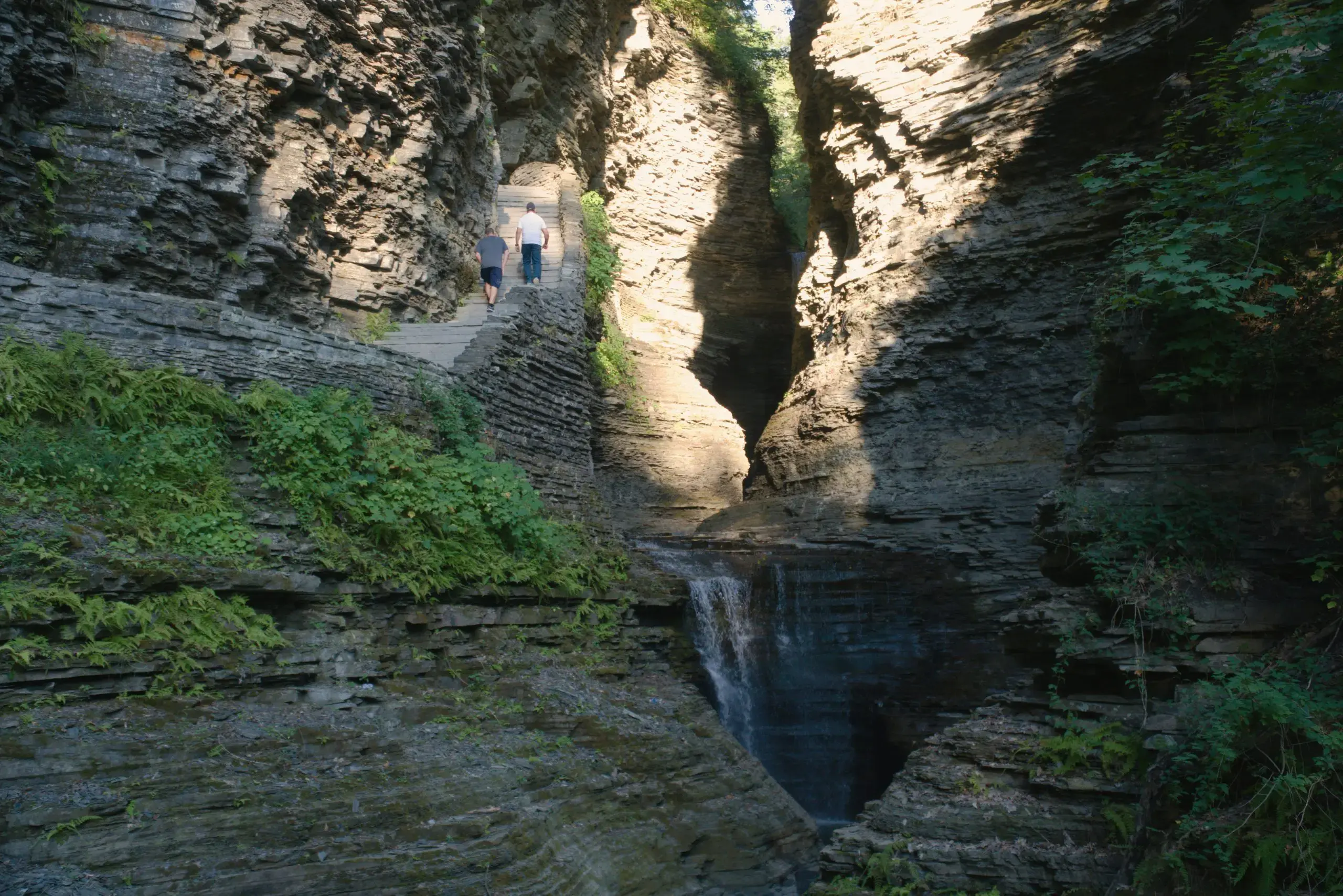 Watkins Glen