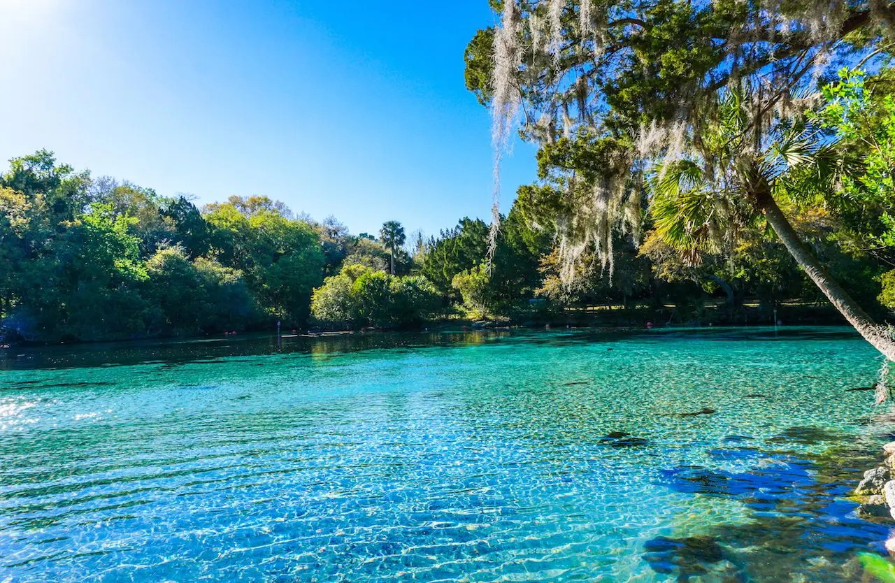 Ocala - Panoramic