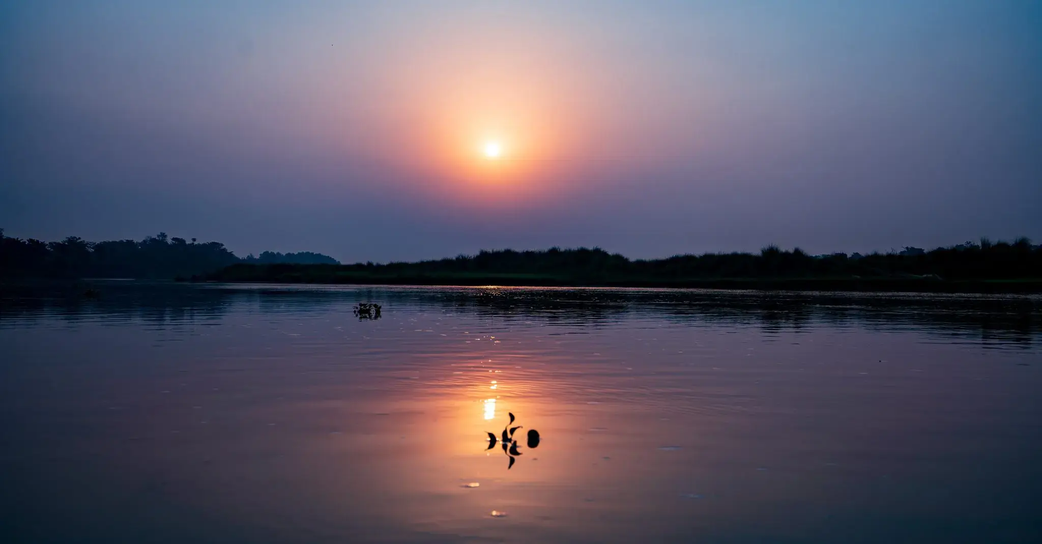 Chitwan National Park