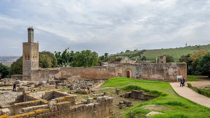 Chellah Ruins
