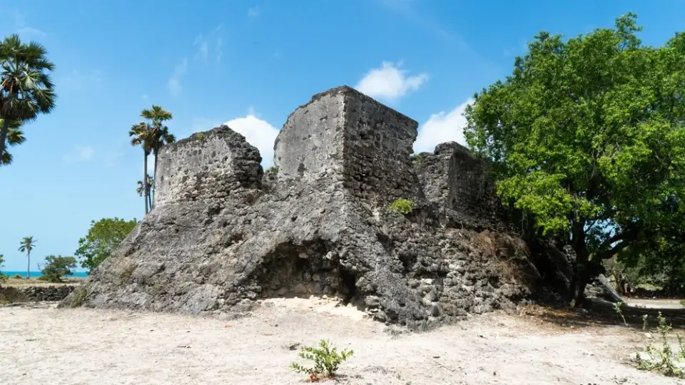 Delft Island