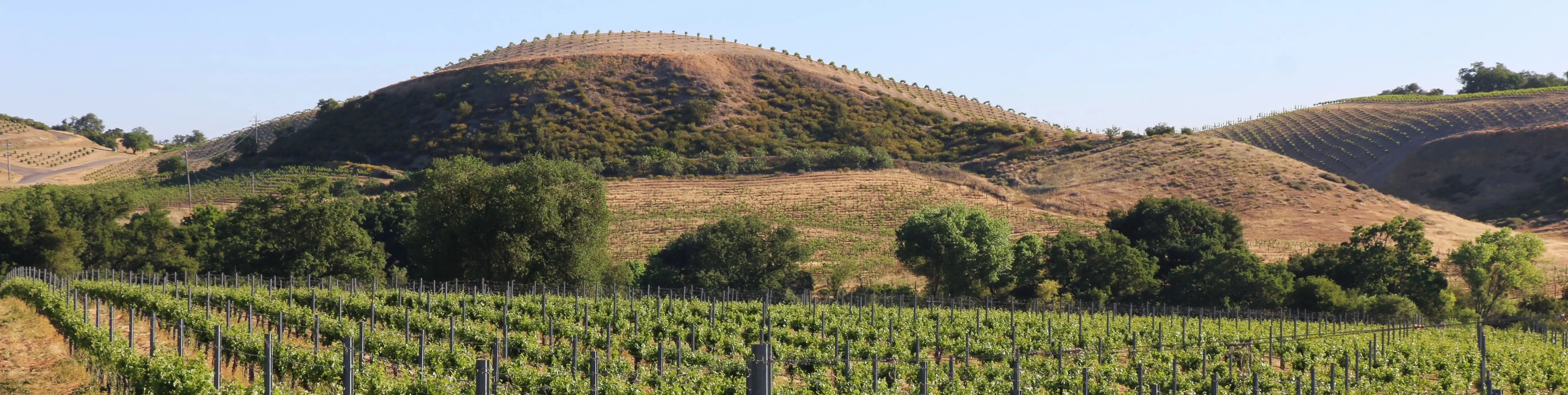 Paso Robles
