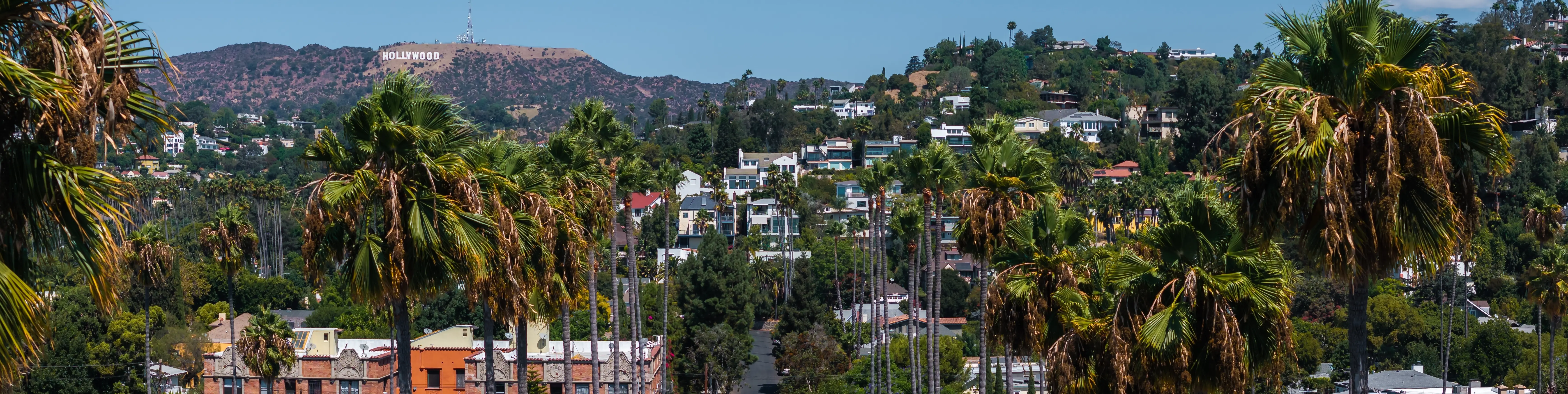 Hollywood