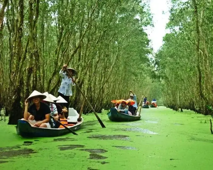 Authentic Encounter: Tra Su Sanctuary Boat Ride