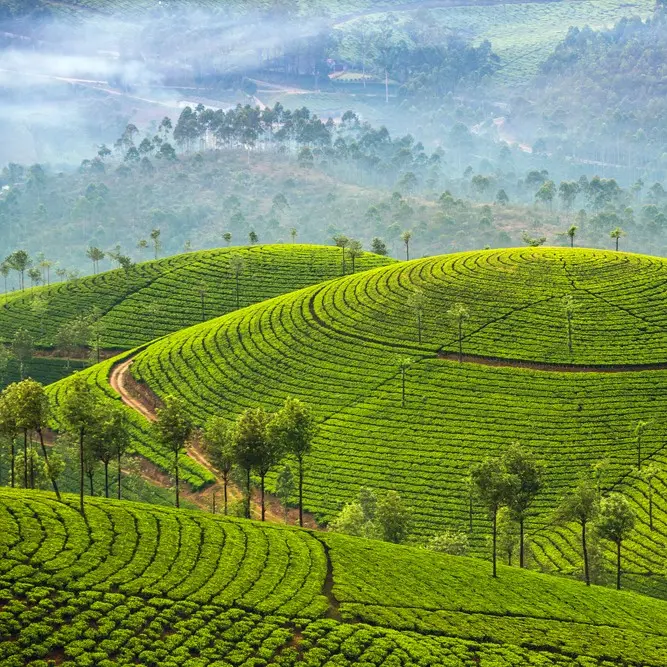 Best Of Classic Sri Lanka