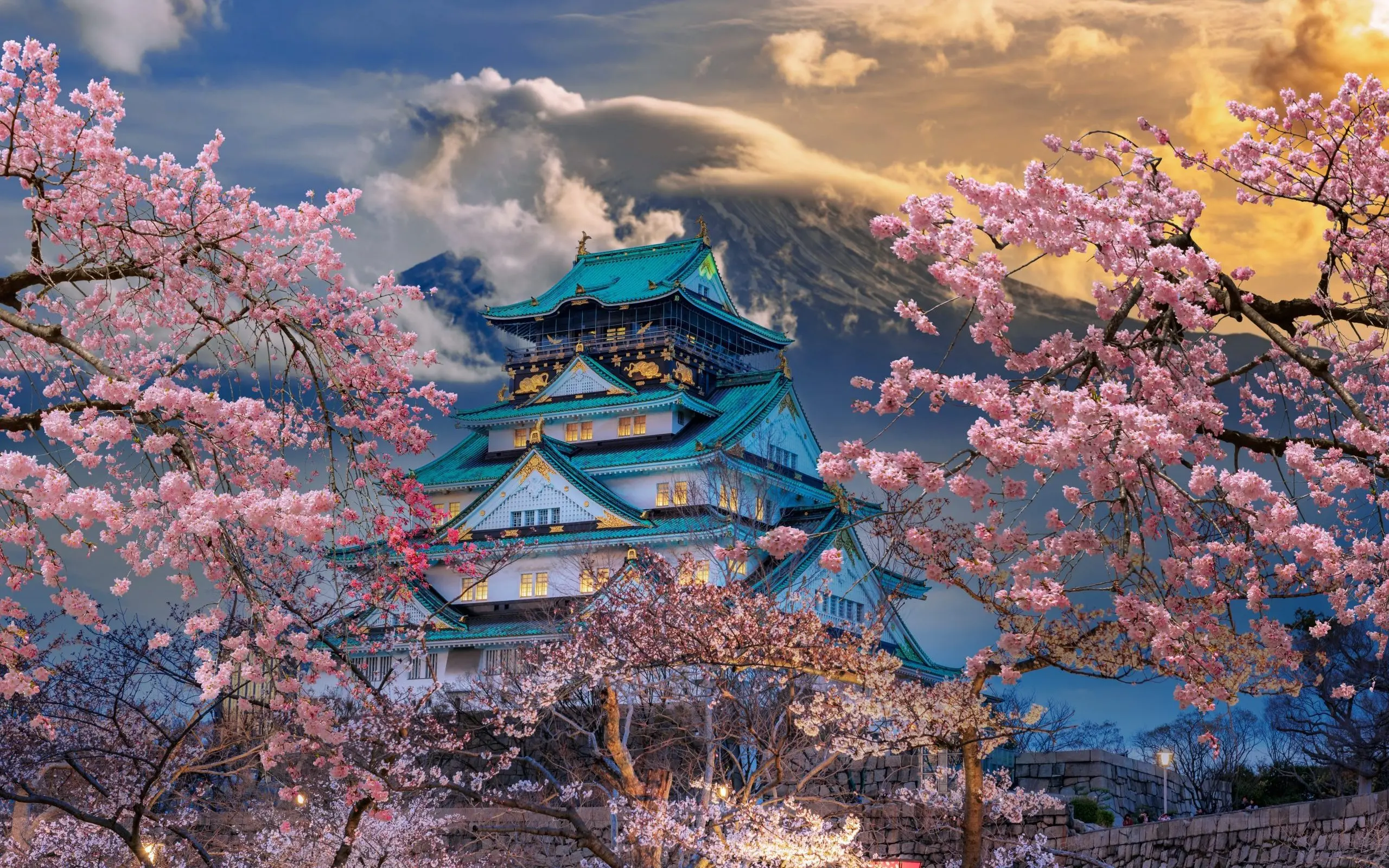 Best of Japan with Koya-san