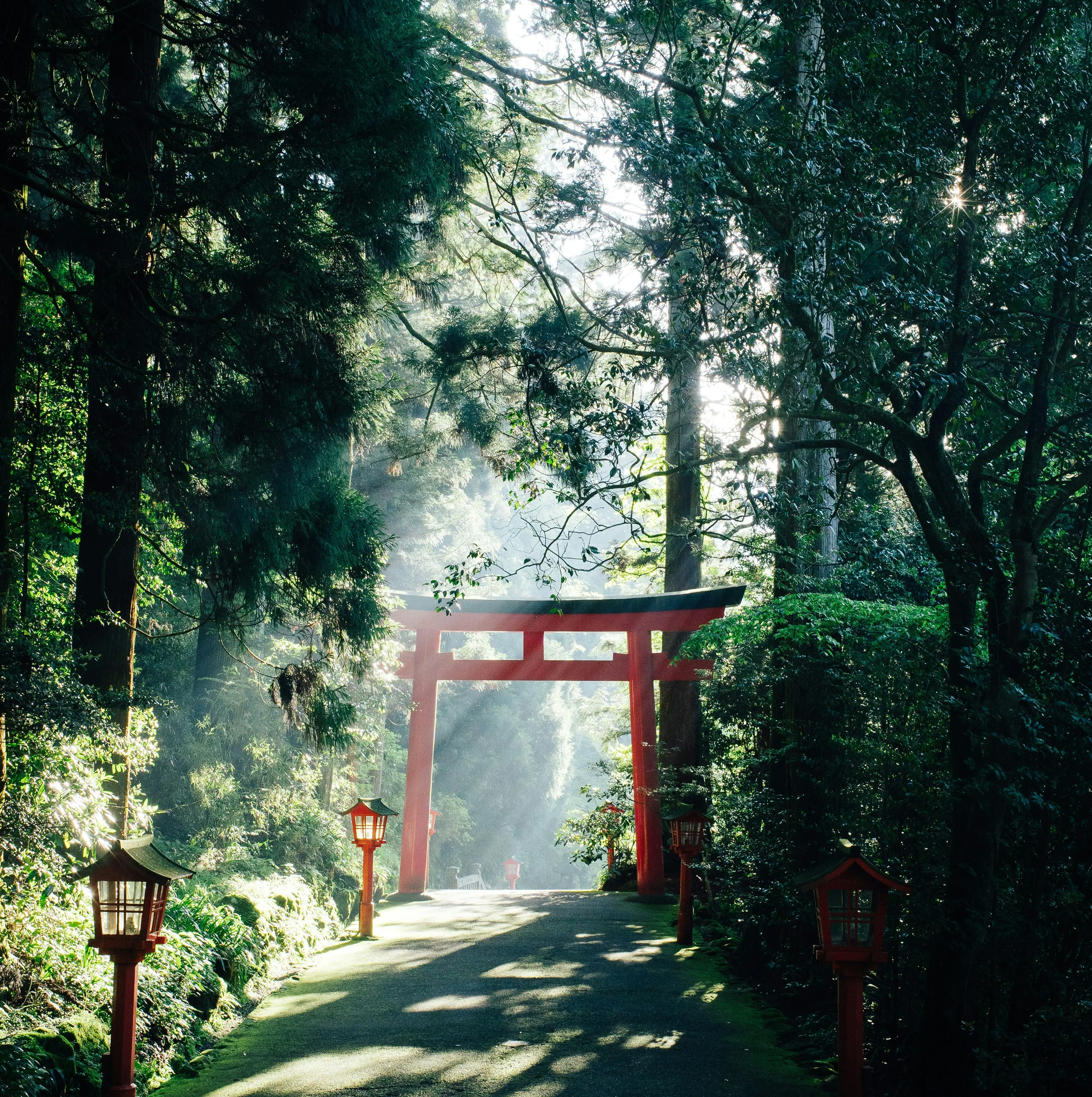 Wonders Of Japan