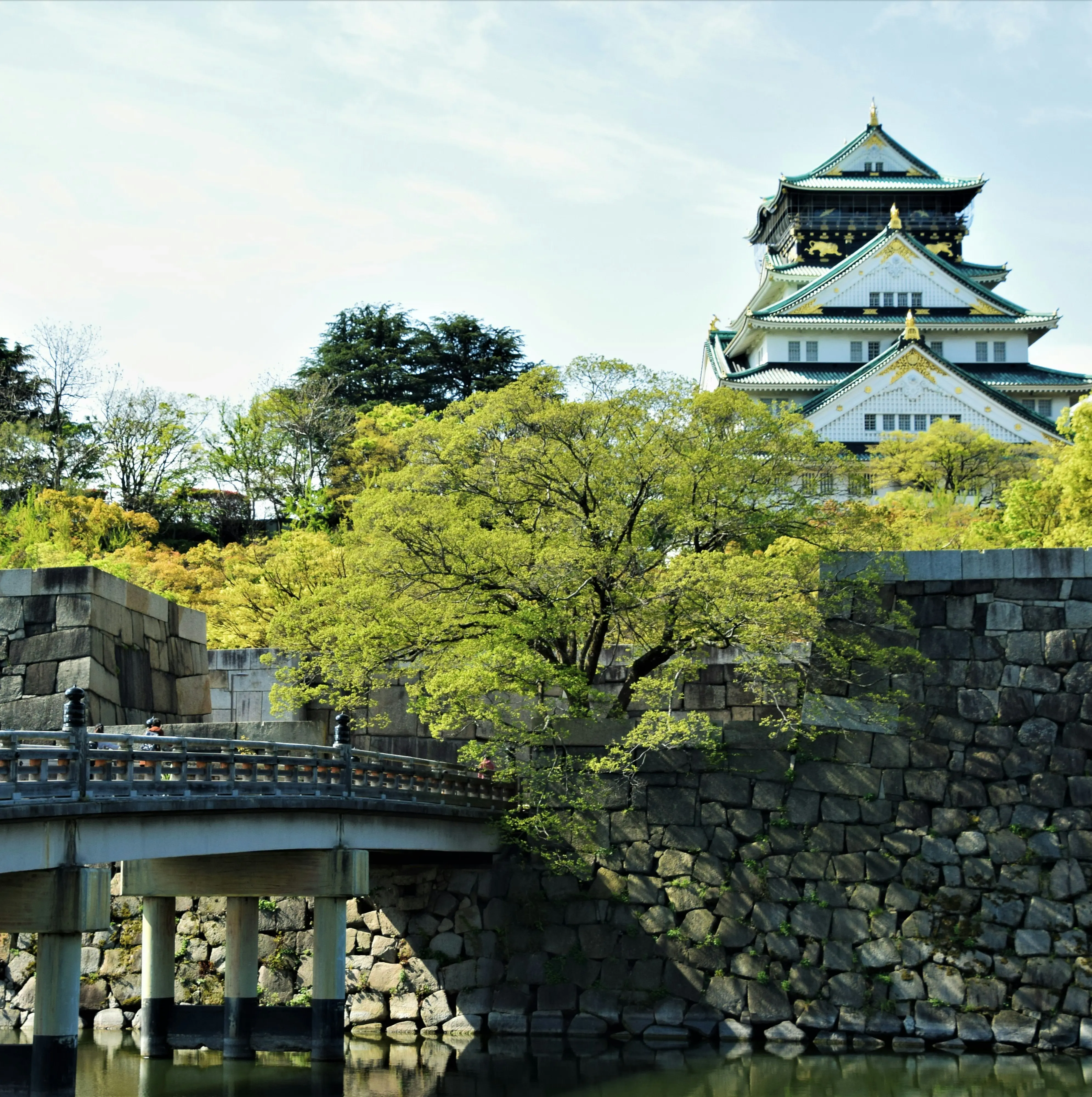 Essential Japan