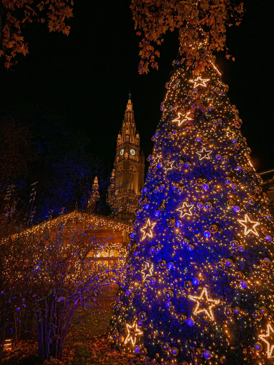 Impressive Christmas Markets: Vienna to Munich
