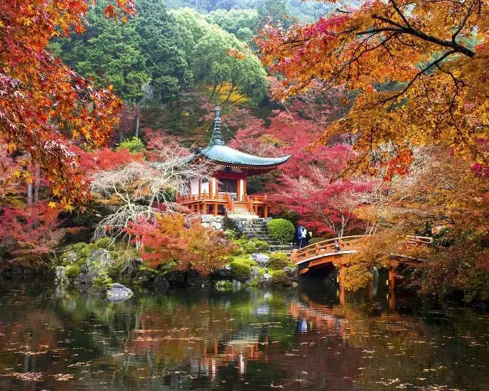 Essential Japan
