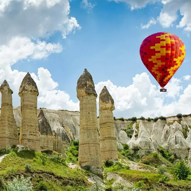 Fantastic Turkey