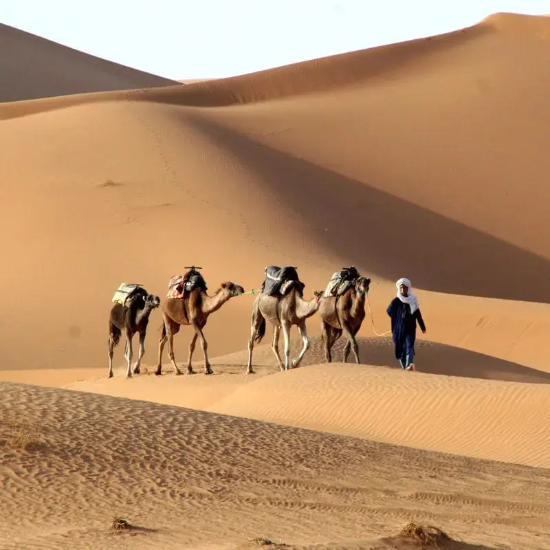 Adventure Morocco