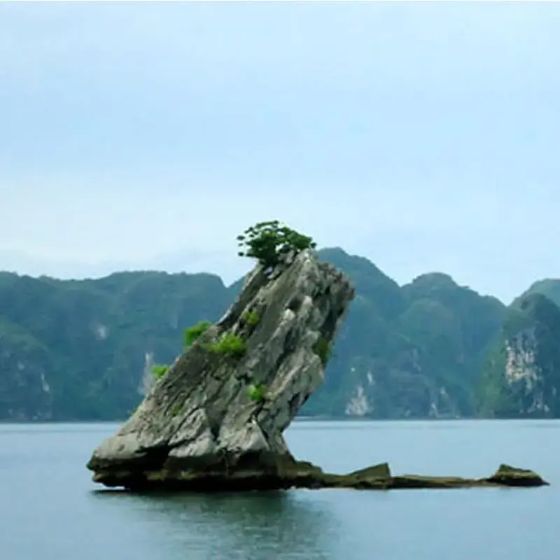 Incredible Vietnam