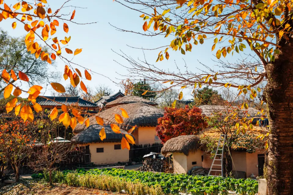 Highlights of Japan & South Korea