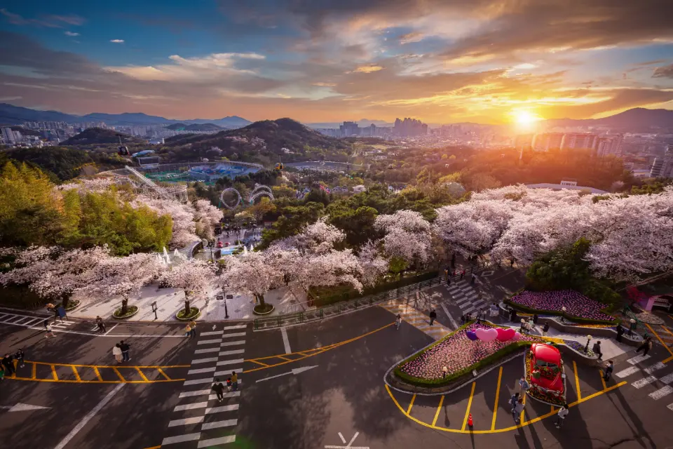 Highlights of Japan & South Korea