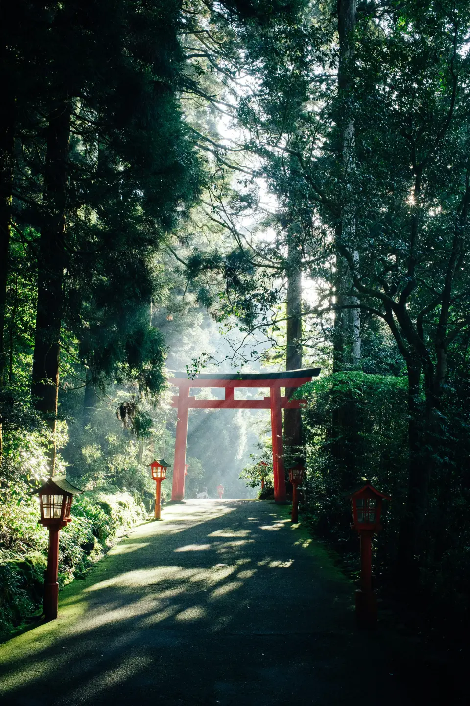 Wonders Of Japan