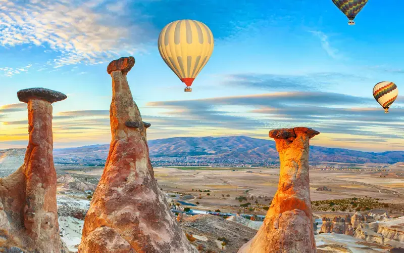 Majestic Turkey (Small Group)