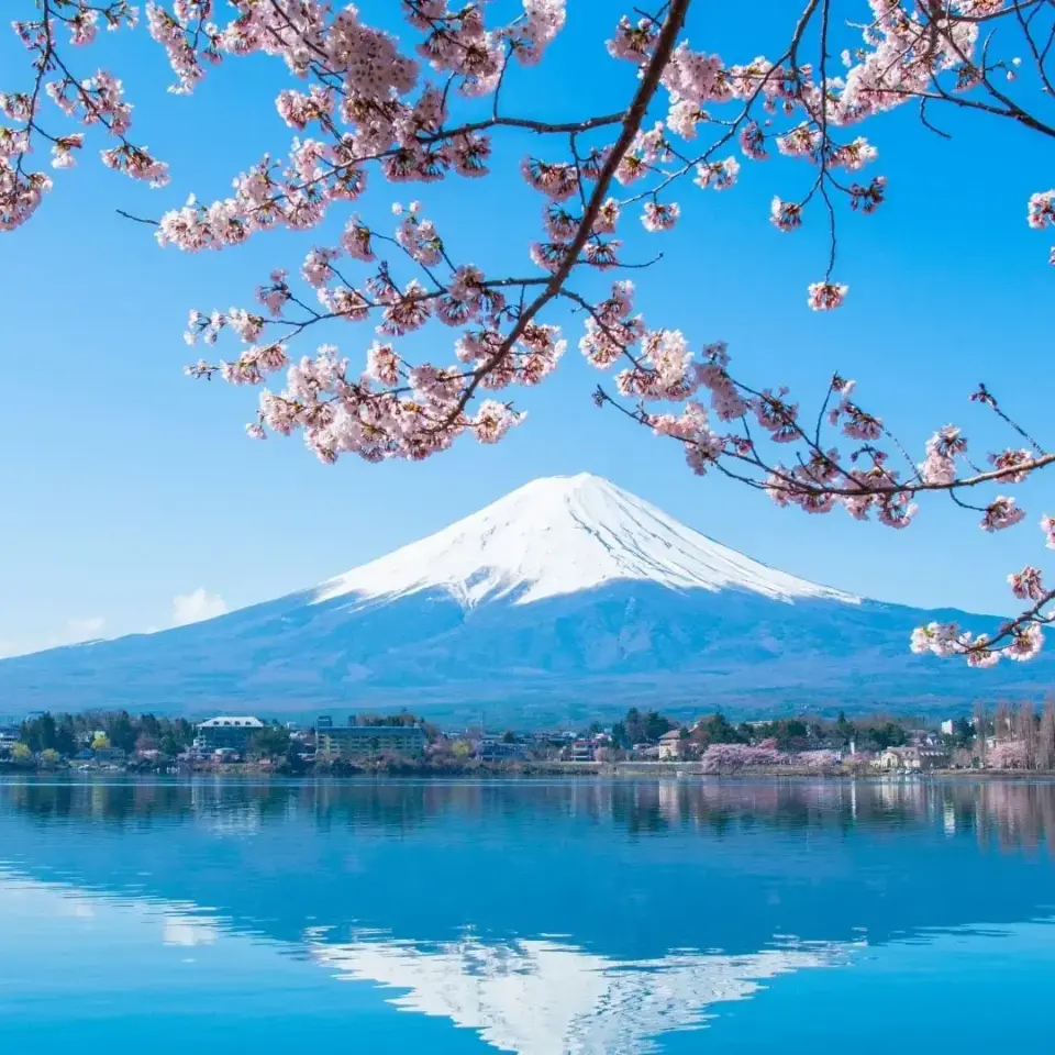 Essential Japan