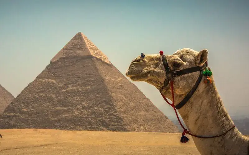 Essential Egypt