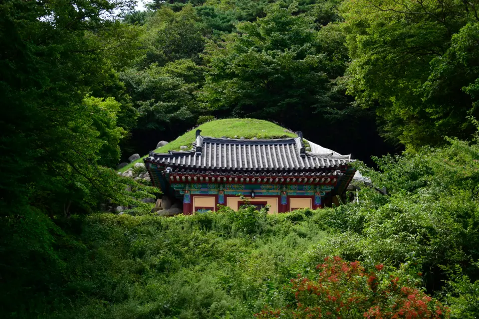 Highlights of Japan & South Korea