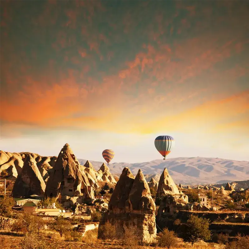 Majestic Turkey (Small Group)