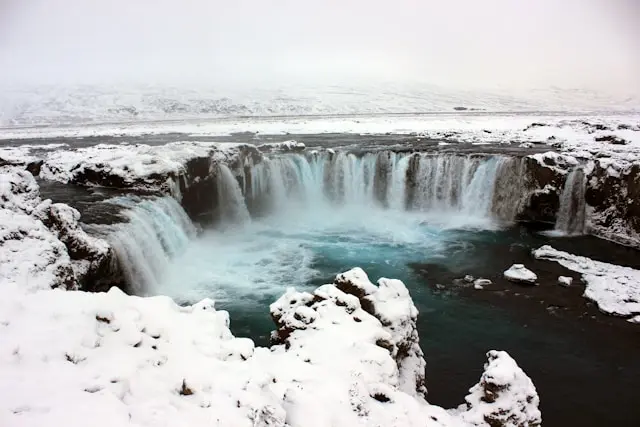 Day 7: Icelandic Horses & Golden Circle, Reykjavík