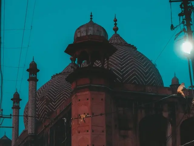 Day 5: Agra, Fatehpur Sikri, Ranthambore